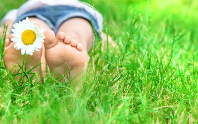ASSEGNO UNICO UNIVERSALE, I DETTAGLI NELLA NUOVA CIRCOLARE INPS